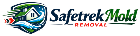 Safetrek Mold Removal